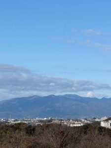 通りますように