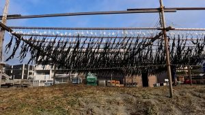 いざ物件巡りに