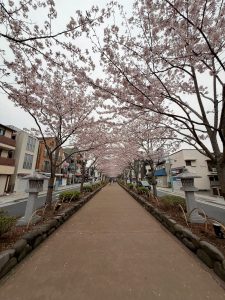 穴場のことなら