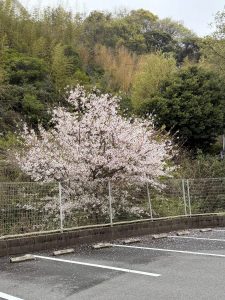 ちょっと感慨深いっす