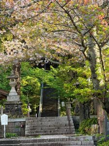 言うは易く行うは難し