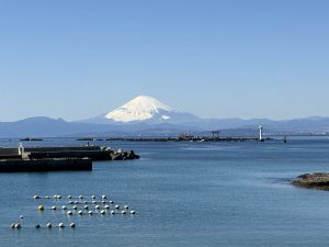 葉山時間に癒されて