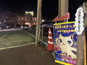 猫魚姫の世界in鎌倉