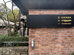 表参道に行ったなら「CICADA」