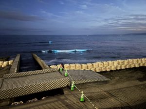 海に青く輝く夜光虫