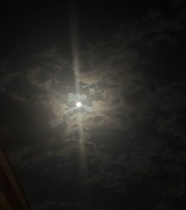 バックムーン🌕成長の時