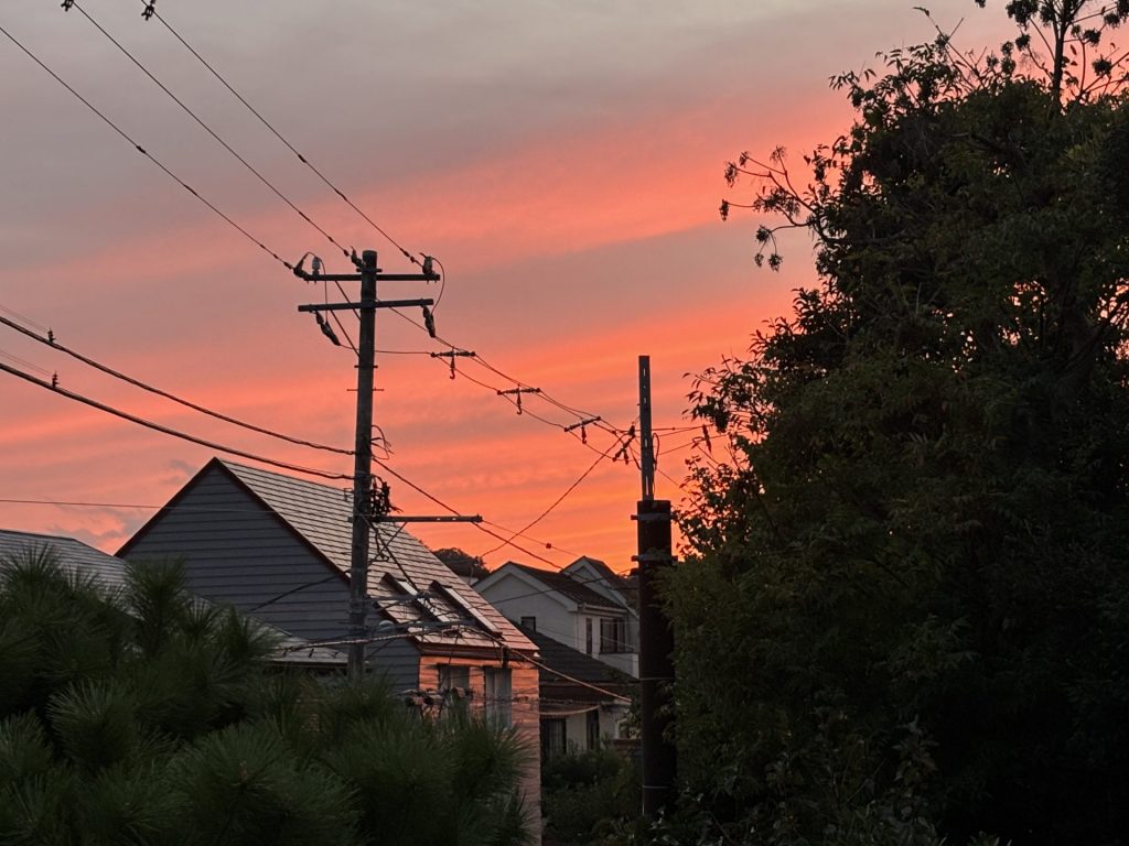 窓を開けていたから