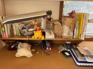 自分の部屋が欲しいかも！