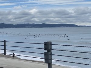 晴れの日曜日