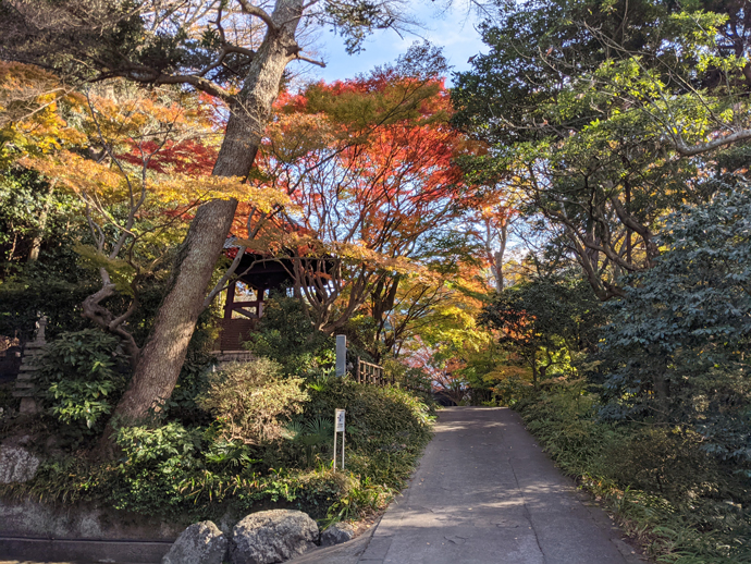 妙本寺に圧倒される