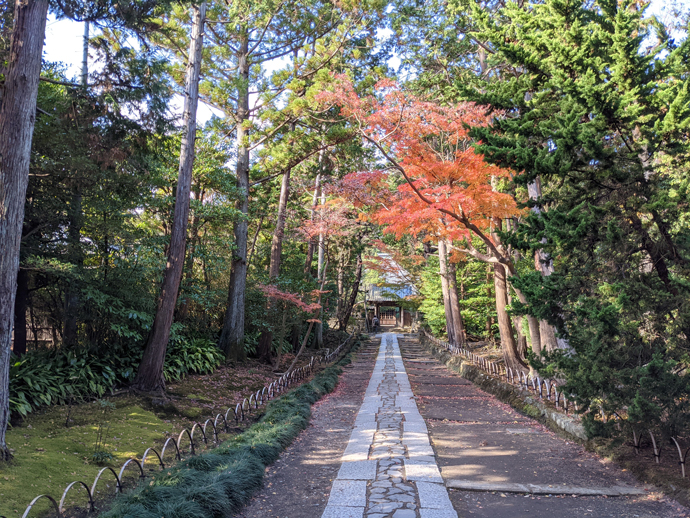 扇ガ谷・山之内・浄明寺の下見