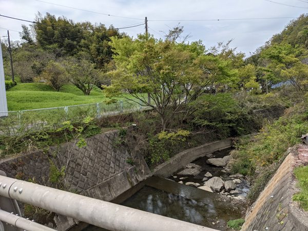 本日の朝礼より