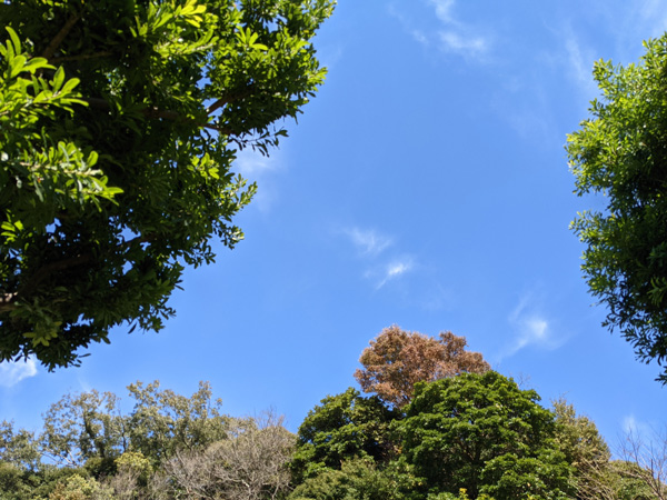 大町めじろ公園