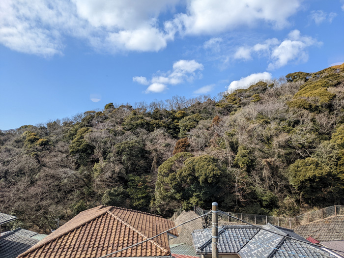 窓全面に拡がる円覚寺の山の四季と共に暮らす【戸建・ペット可】