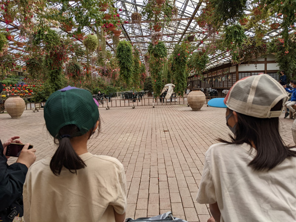 富士花鳥園