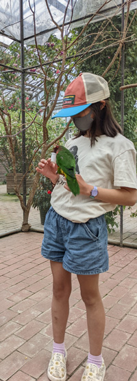 富士花鳥園