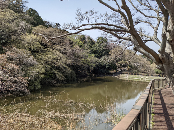 夫婦池公園