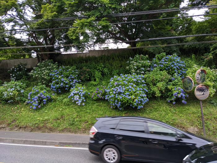 7月4日