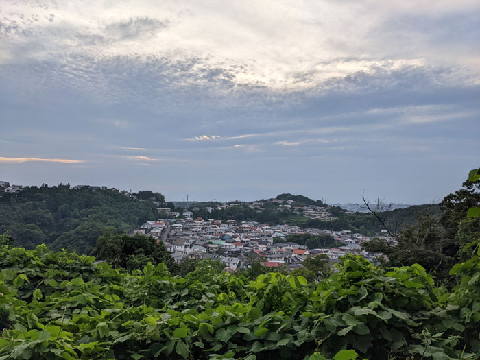 桜櫻　鎌倉山