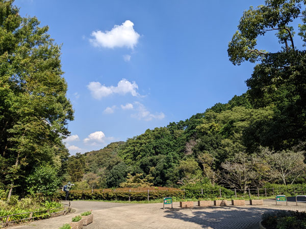 鎌倉中央公園