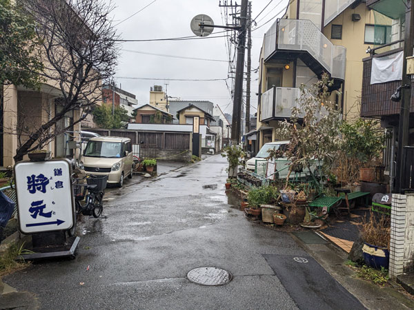 鎌倉将元の日替わり定食