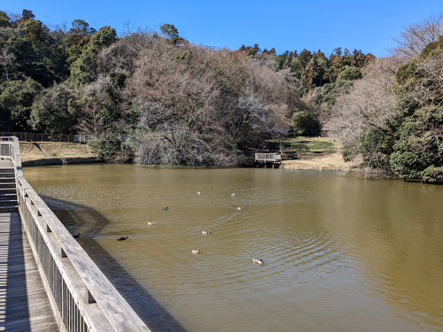 夫婦池公園