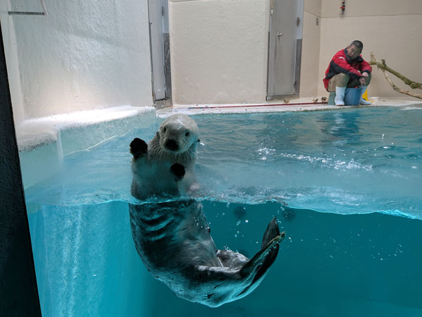 鳥羽水族館