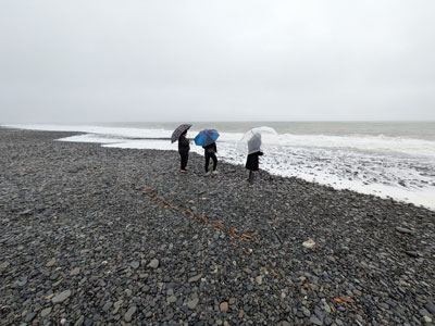 雨の三保の松原