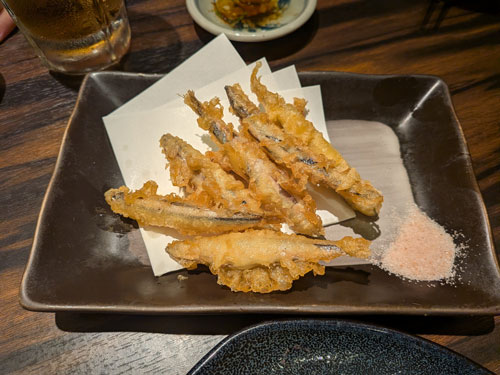 きびなご