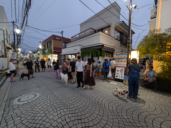 とすいハウス