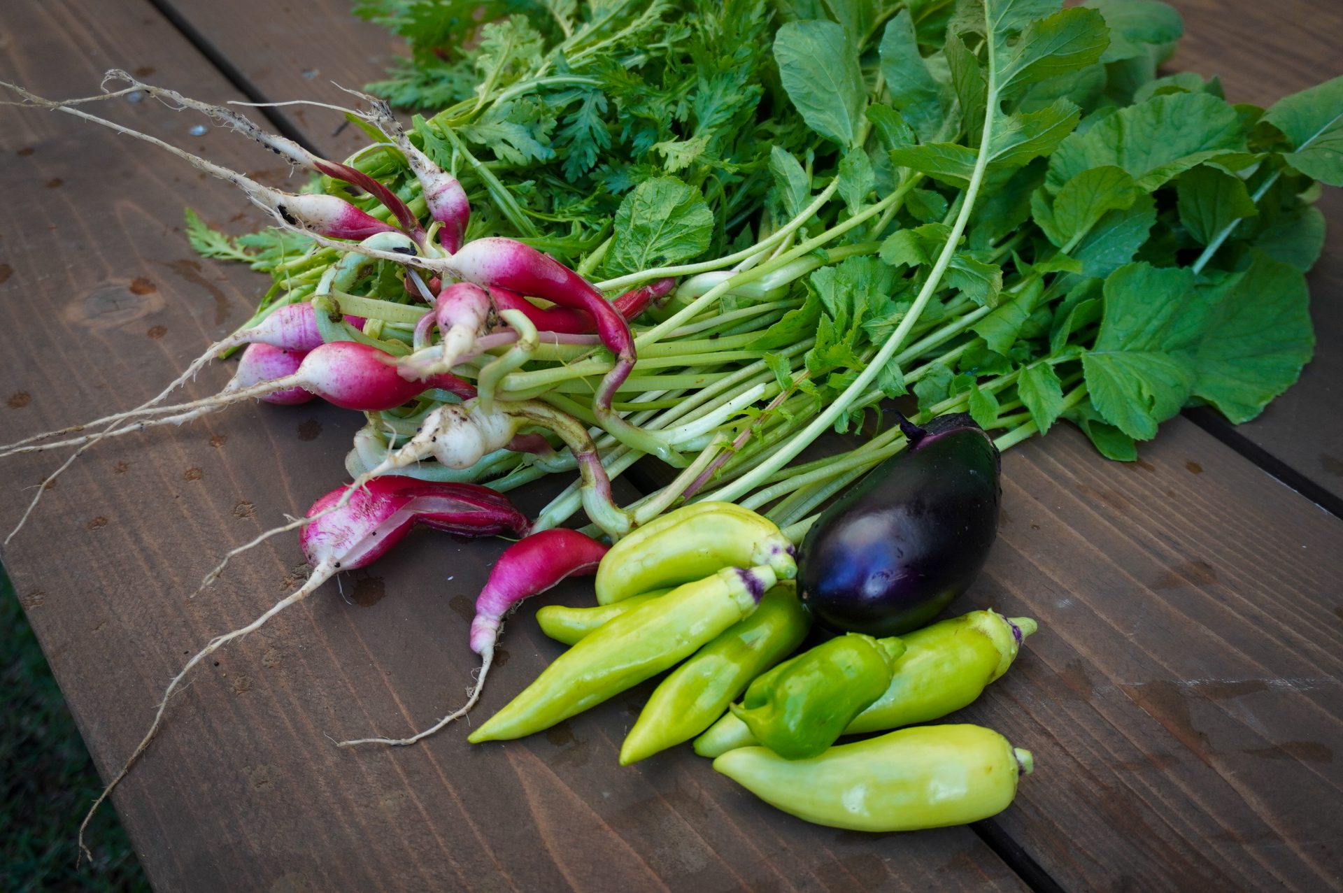 ２周目に入ります！