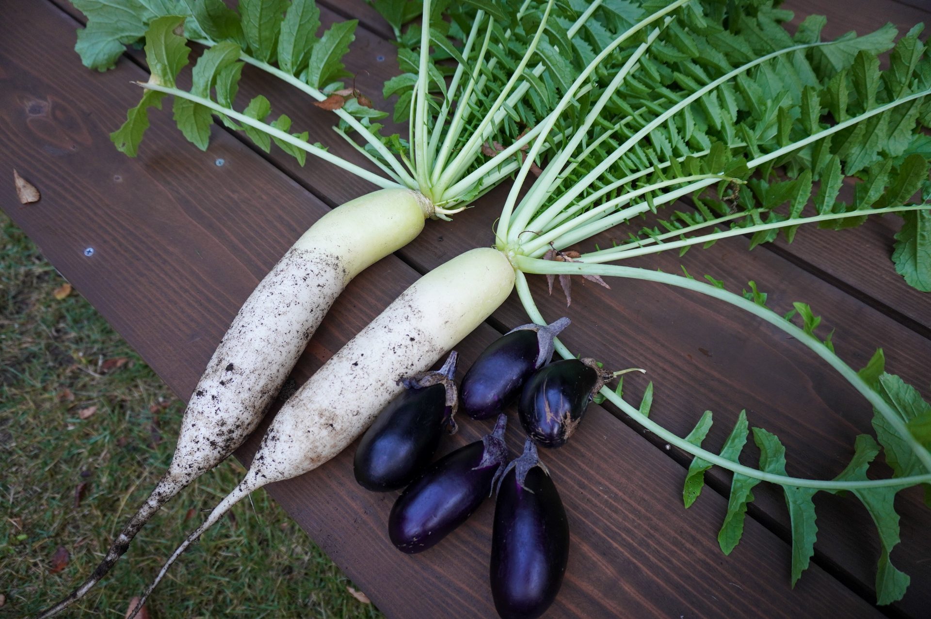 ナス、今季終了です。