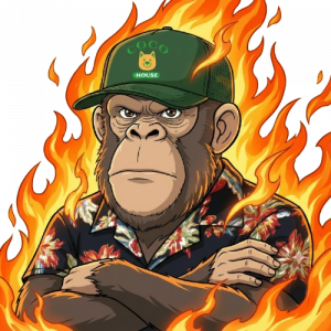 連載はじめます！