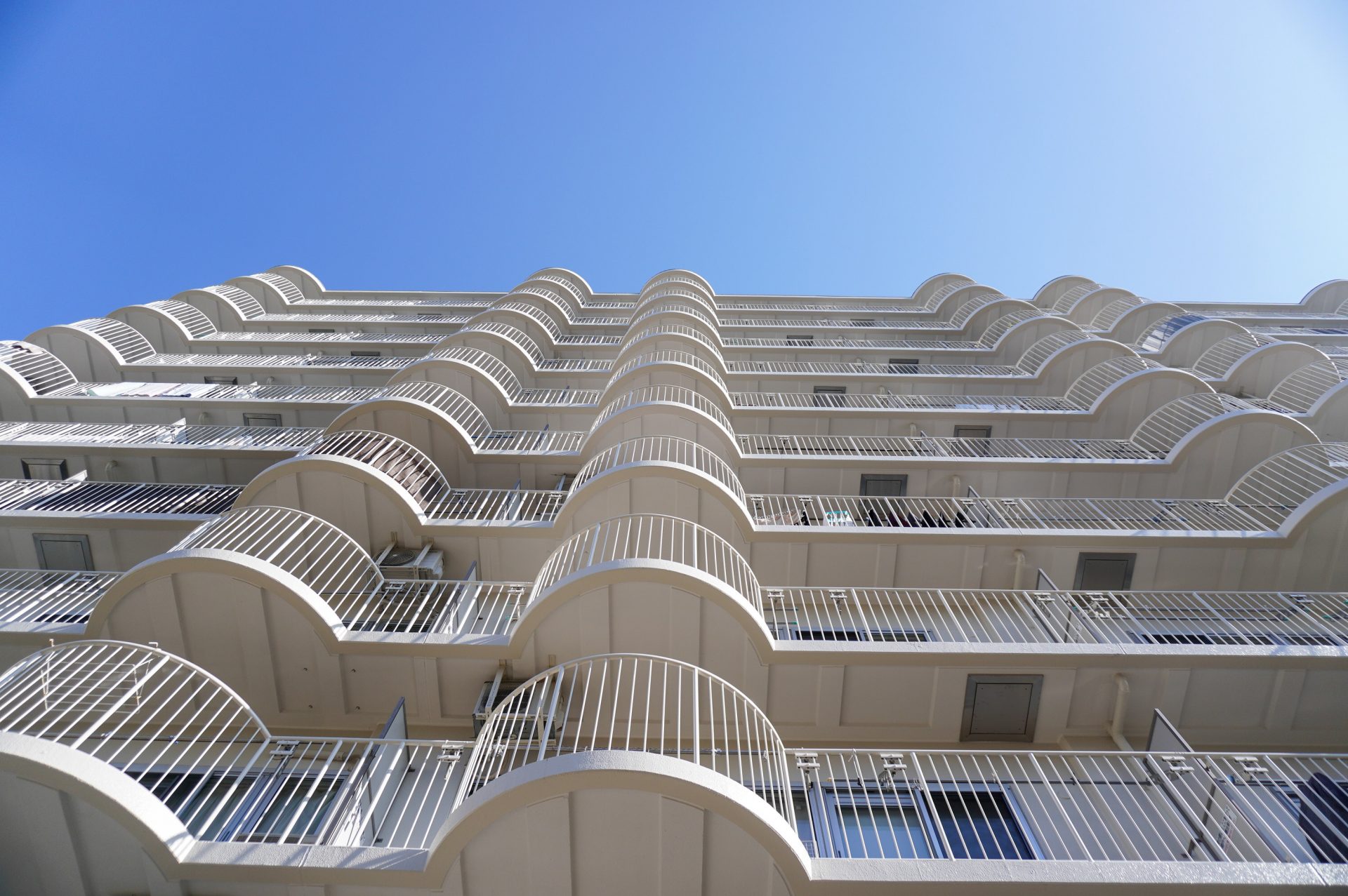 またまた出てきました！！