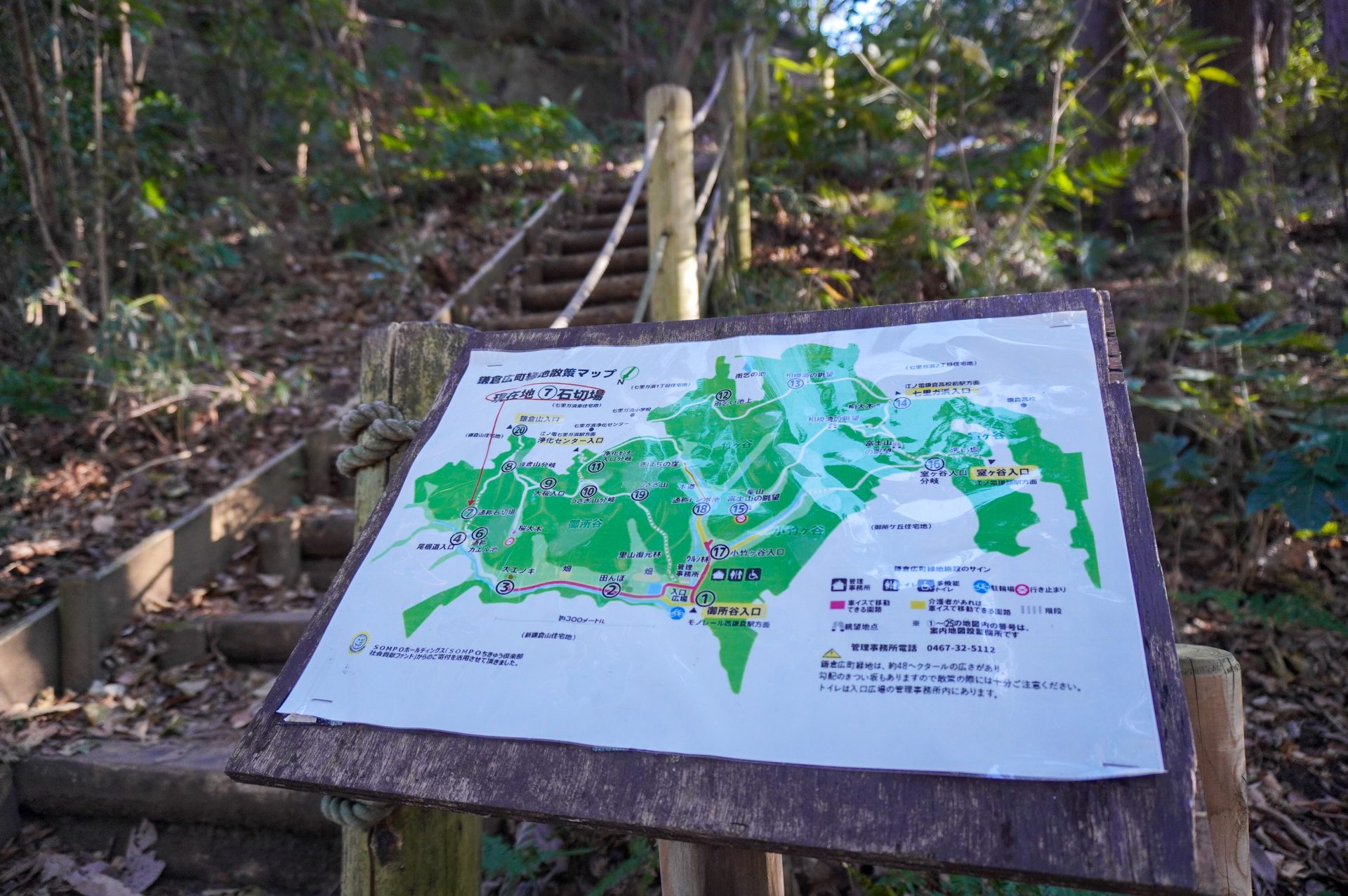 おすすめの散歩・ハイキングコース