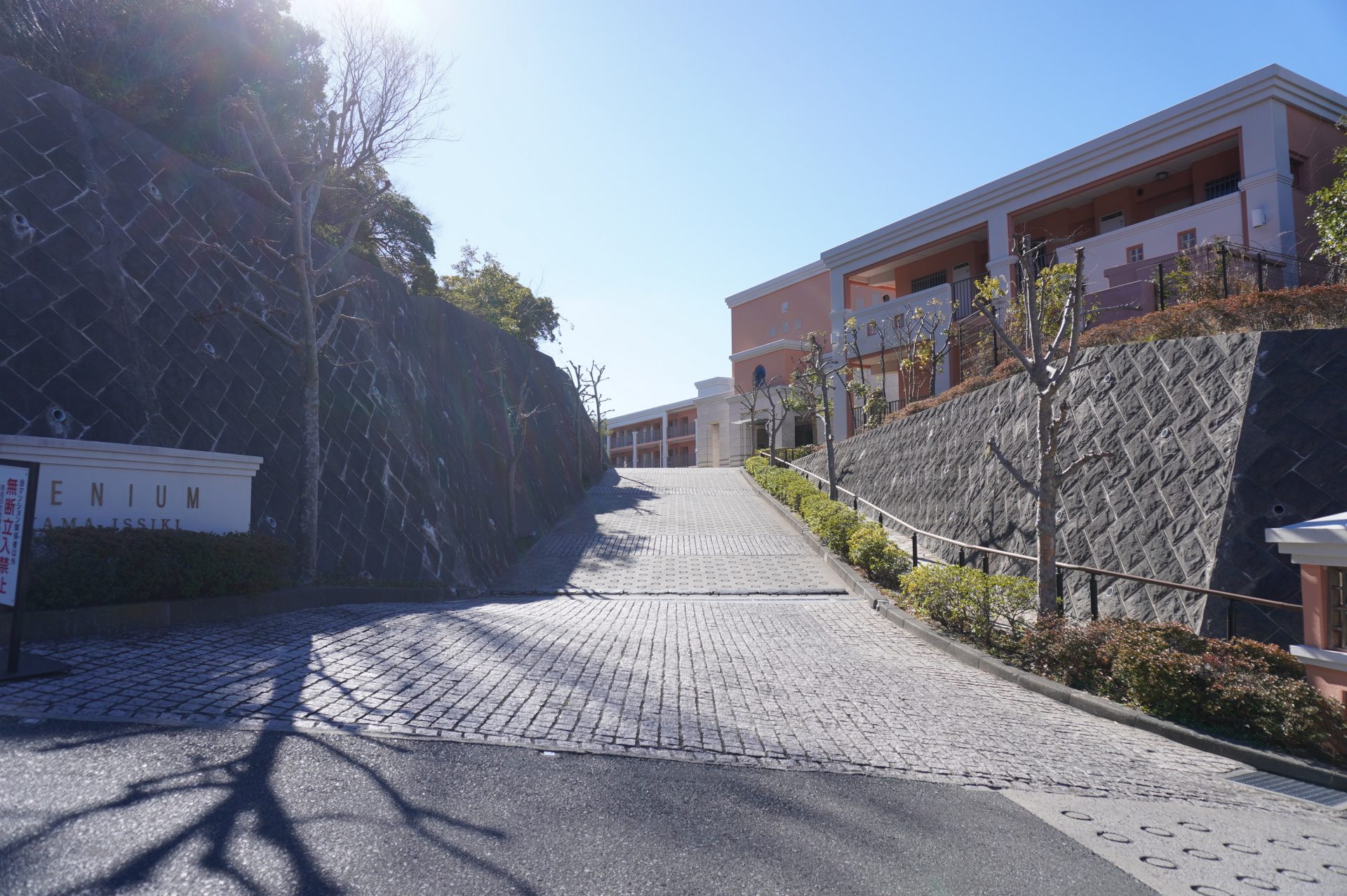 葉山一色の優等生