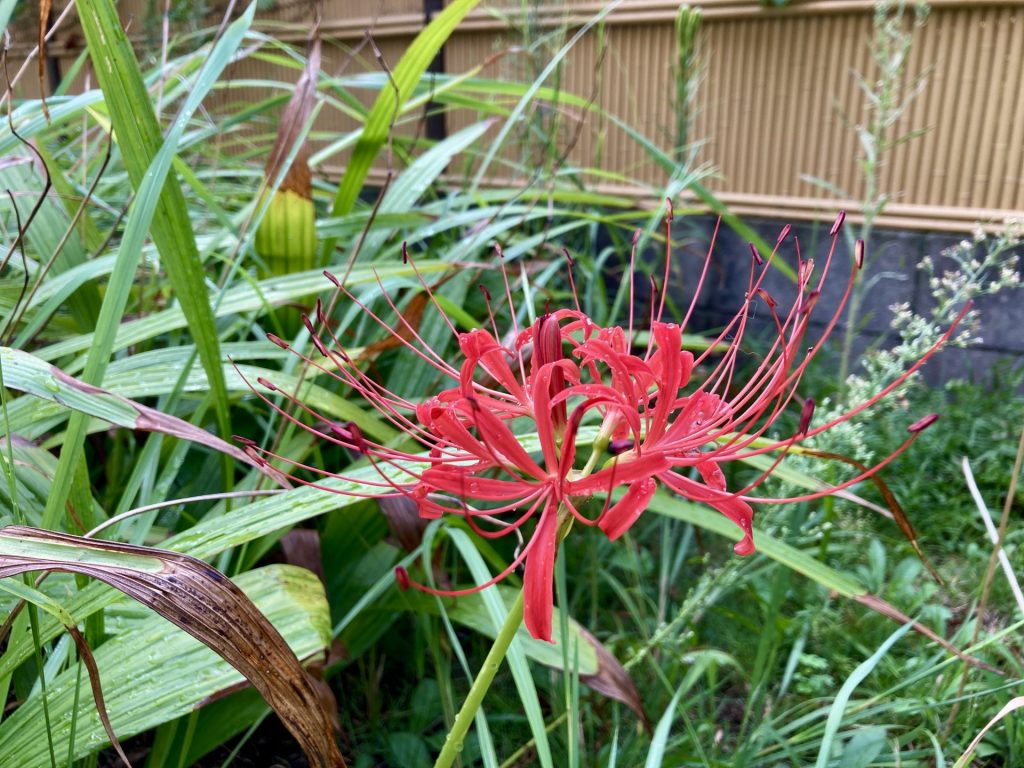 不吉？