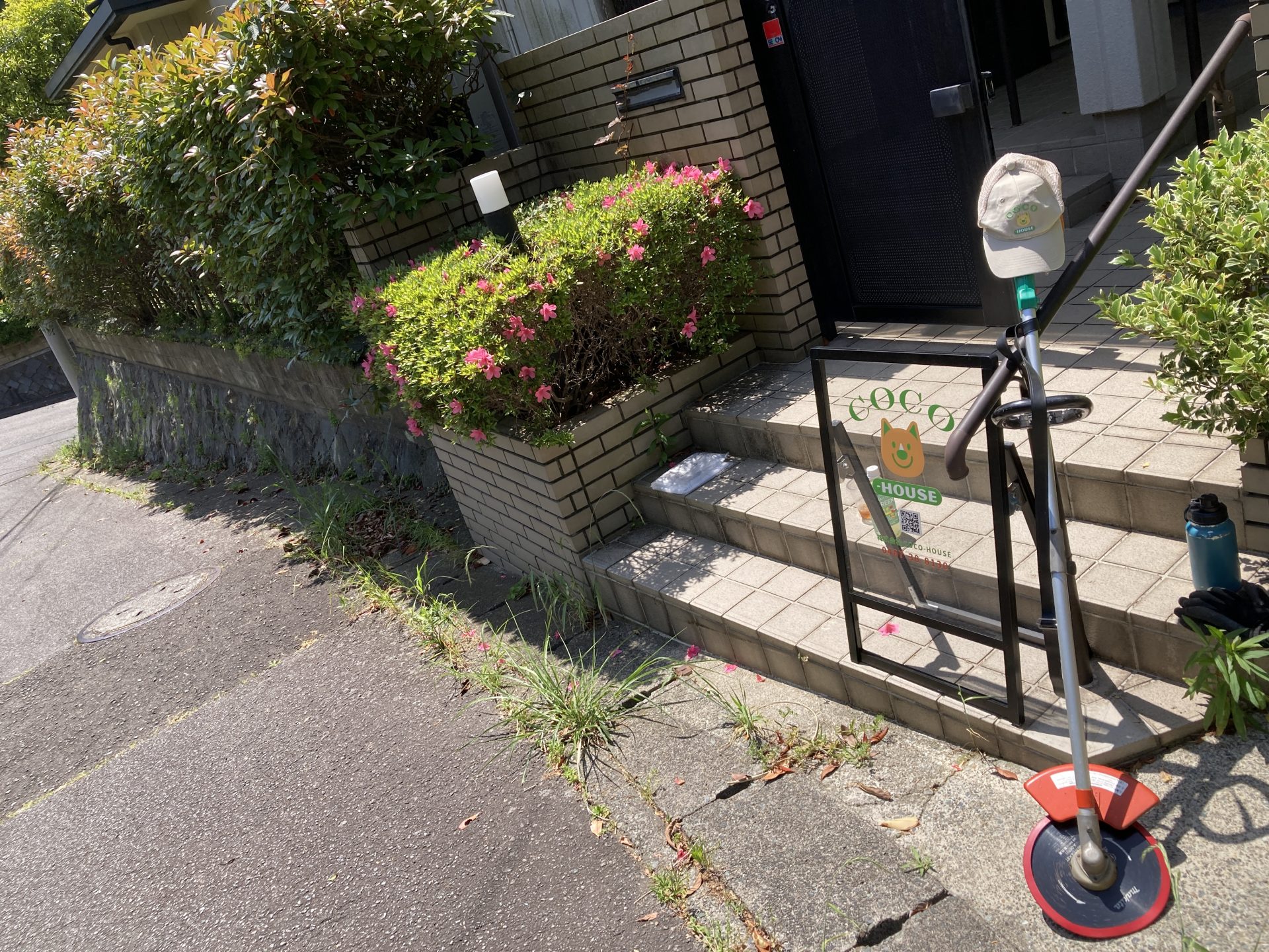 156坪
