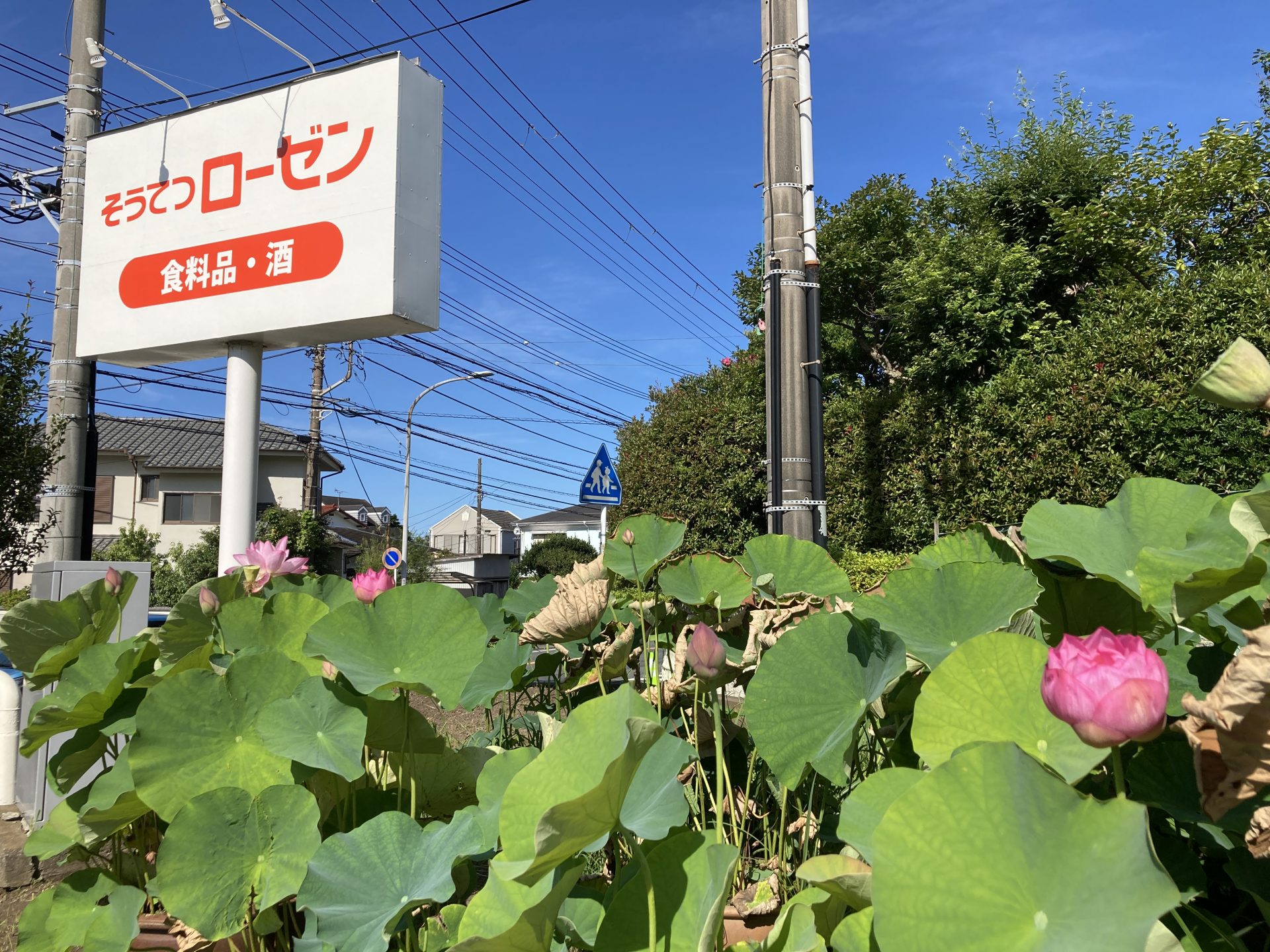 満開