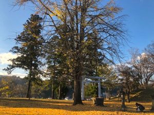 長野の秋　つづき