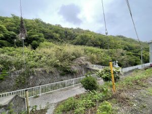 開拓❗️〜下山口の山林へ〜