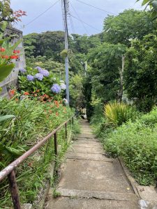 夢が広がる平屋(三浦　六合)