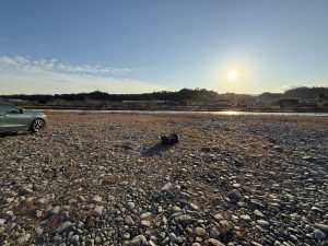 冬がはじまるよ〜ホラまた僕の側で〜