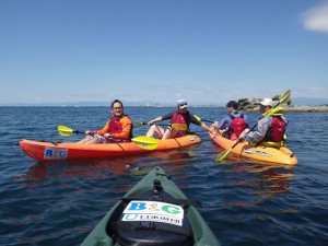 今年も大浜海岸でマリンフェスタ