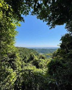 整えに行く高尾山