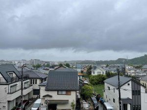 雨の日のお珍。