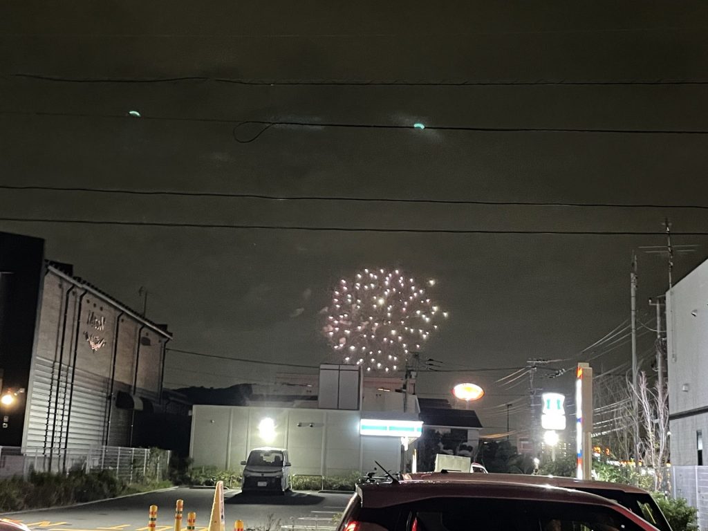 帰り路とモリンガ