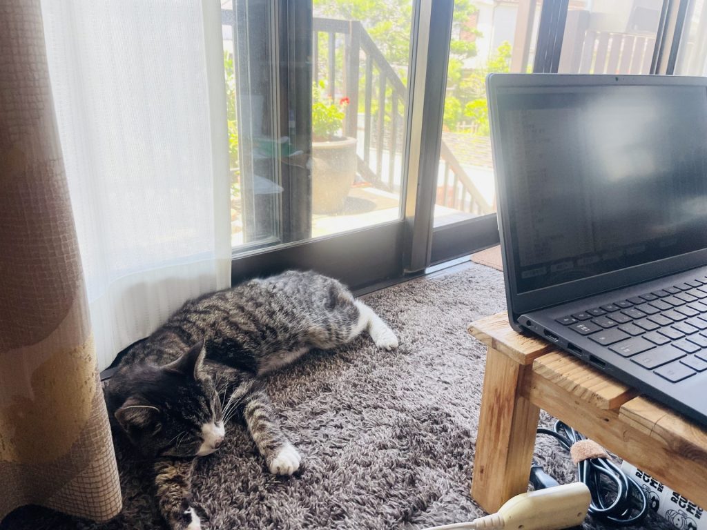 しっかり休もー、