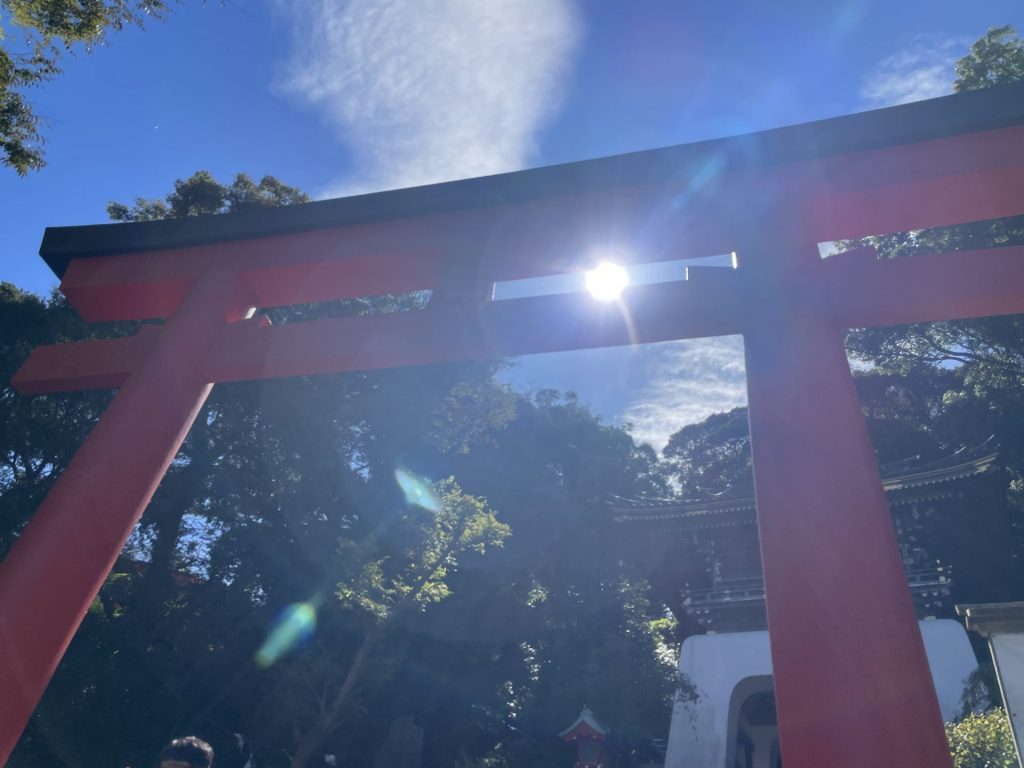 今日から５年目、