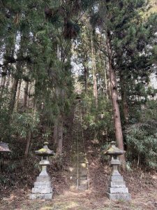 初詣と初モルック